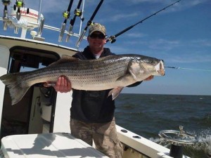 Sea Bass